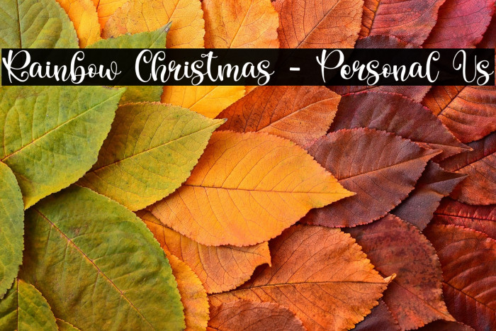 Rainbow Christmas - Personal Us Example 3