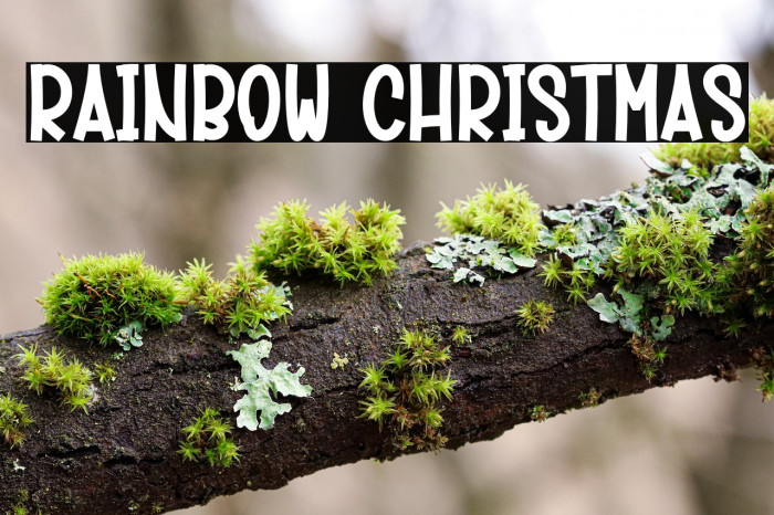 Rainbow Christmas Example 1