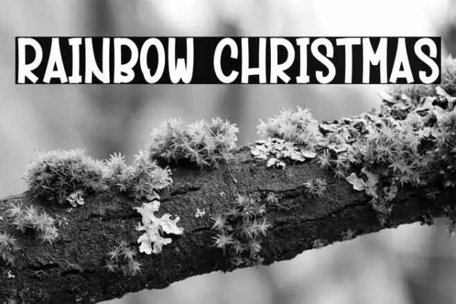 Rainbow Christmas 字体 examples