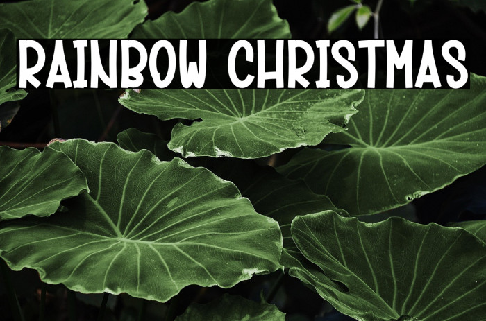 Rainbow Christmas Example 3