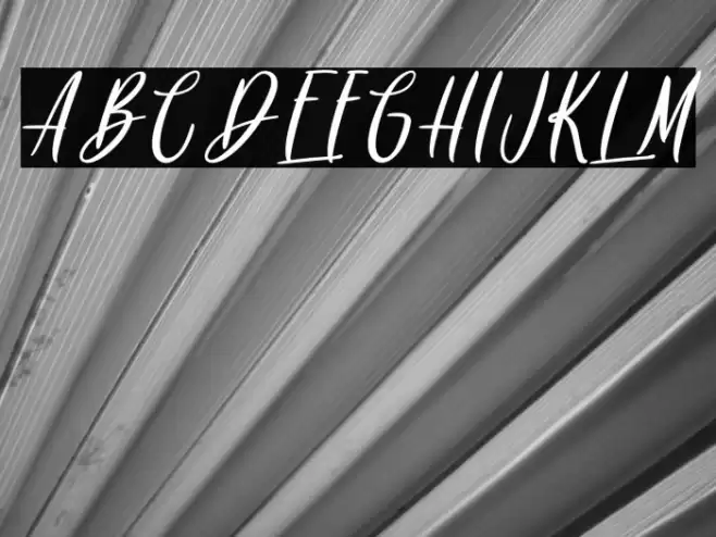 Rainbow Dreams - Personal Use Fuentes examples