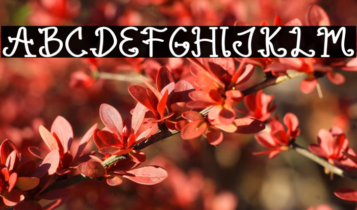 Rainbow Flower Example 3