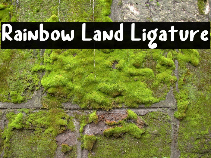 Rainbow Land Ligature Font examples