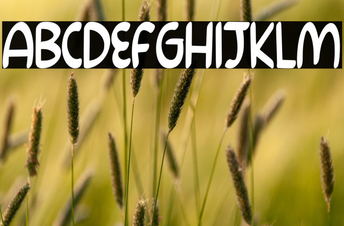 Rainbow Pancake Personal Use Example 2