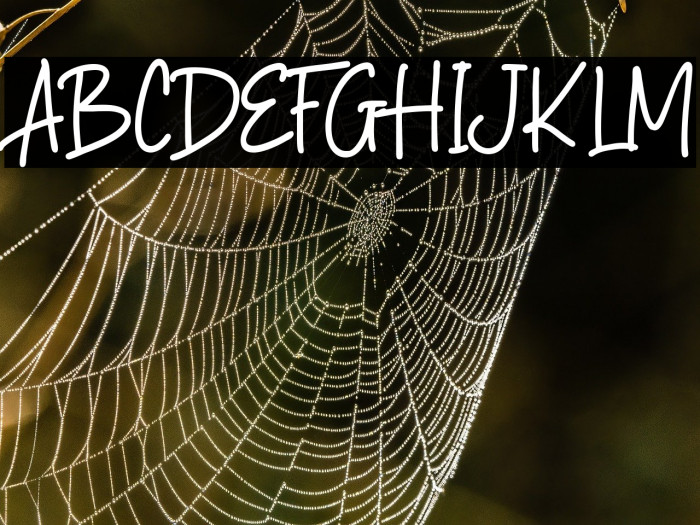 Rainbow Paper Example 1