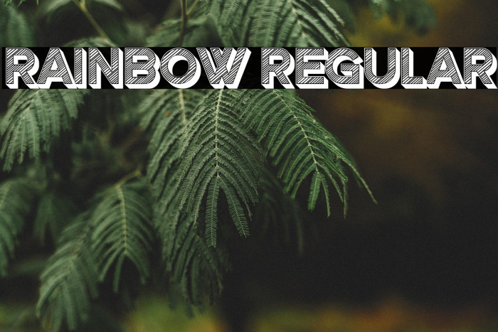 Rainbow Regular Example 1