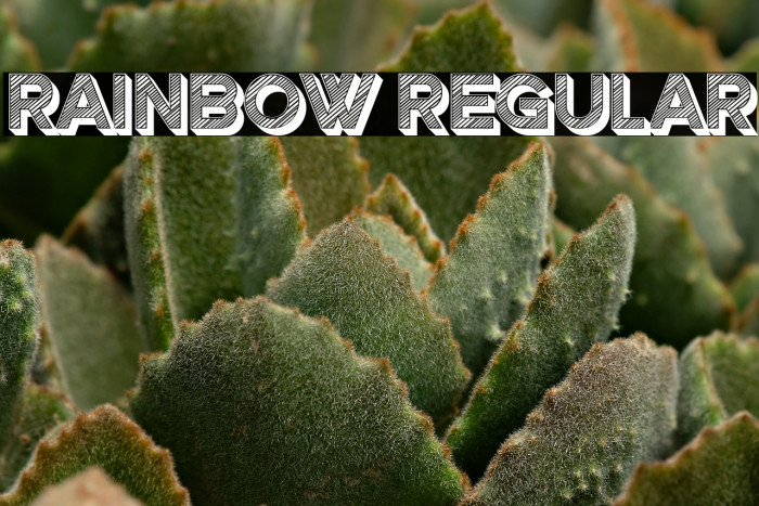 Rainbow Regular Example 2