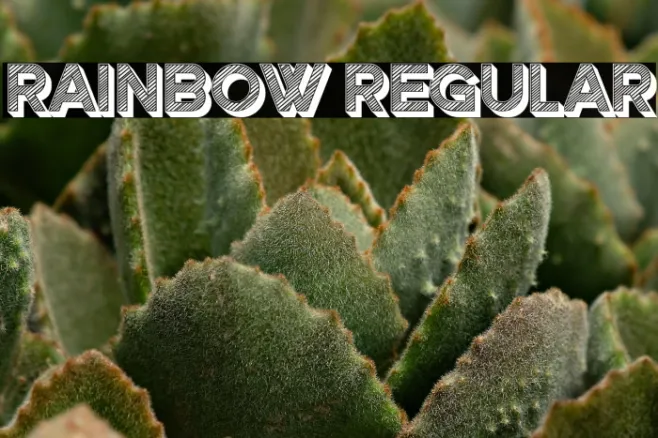 Rainbow Regular Example 2
