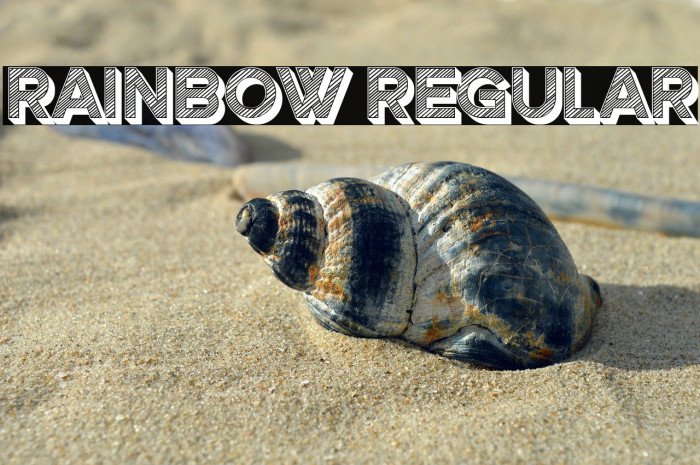 Rainbow Regular Example 3