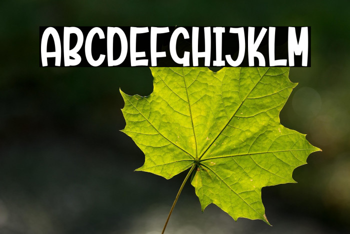 Rainbow Unicorn Example 1