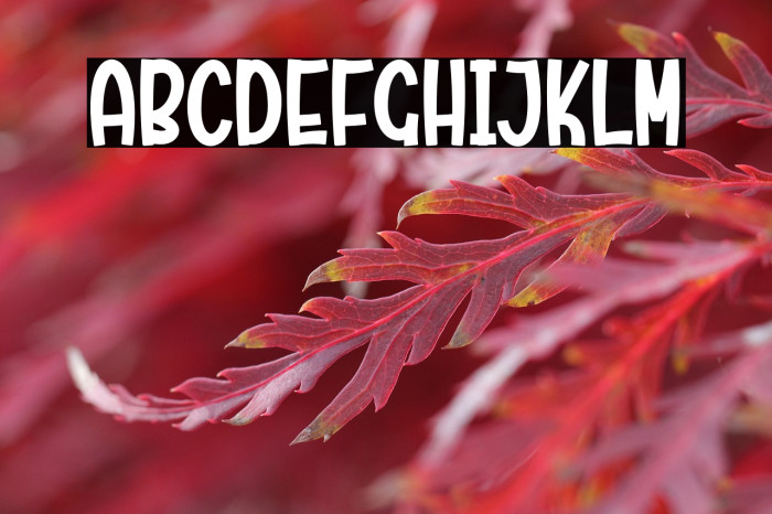 Rainbow Unicorn Example 2