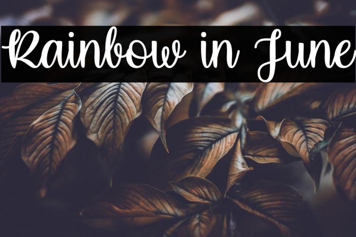 Rainbow in June Example 1