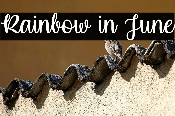 Rainbow in June Example 2