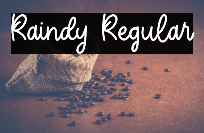 Raindy Regular Example 3