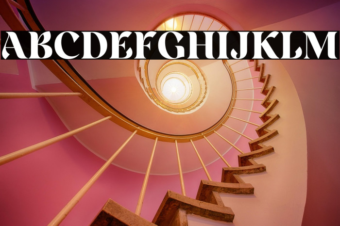 Rainesta-Black DEMO Example 1