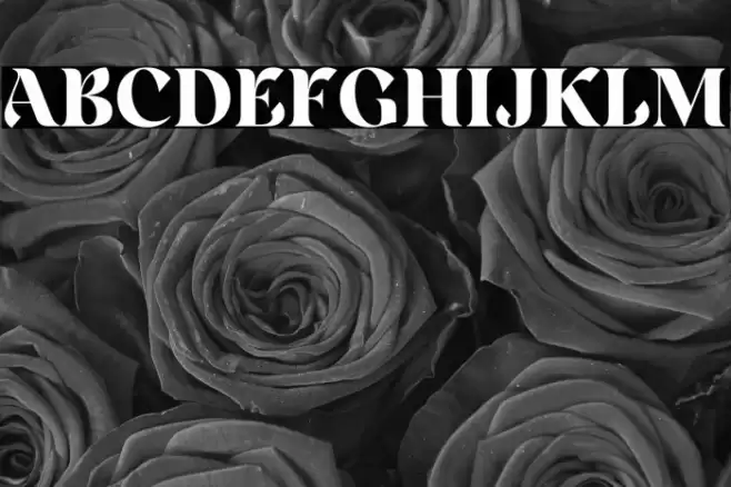 Rainesta-Black DEMO Font examples