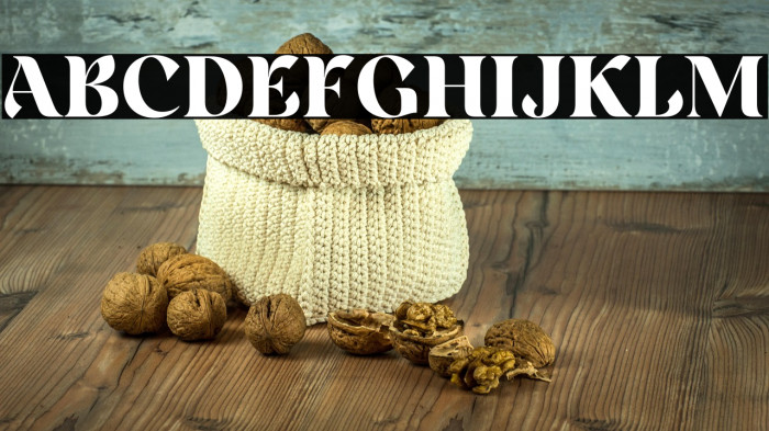 Rainesta-Black DEMO Example 3