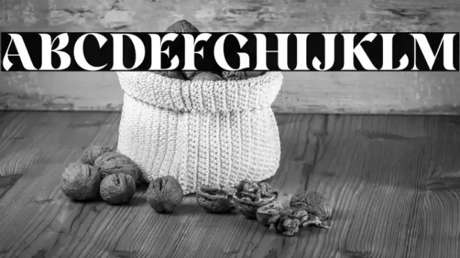 Rainesta-Black DEMO Font examples