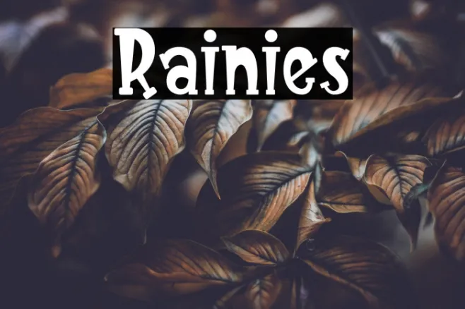 Rainies Example 1