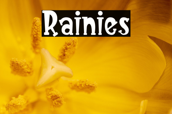 Rainies Example 3