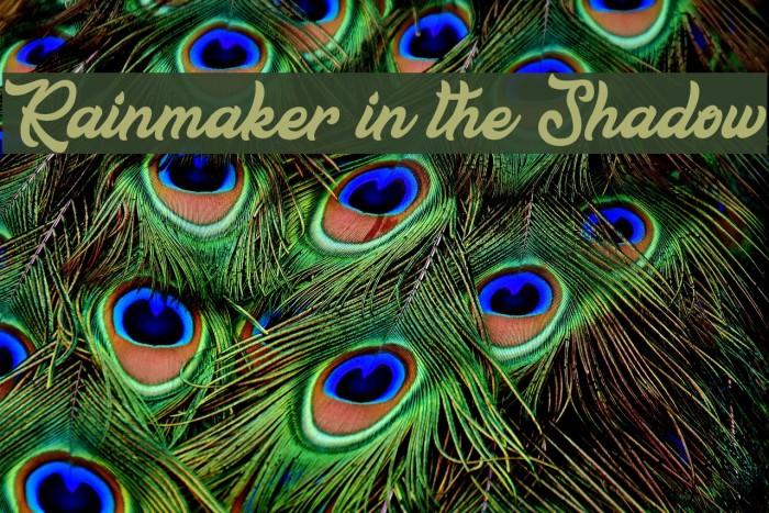 Rainmaker in the Shadow Шрифта examples