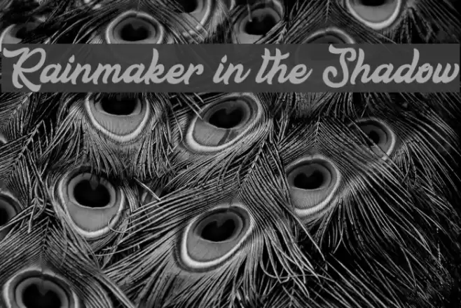 Rainmaker in the Shadow Шрифта examples