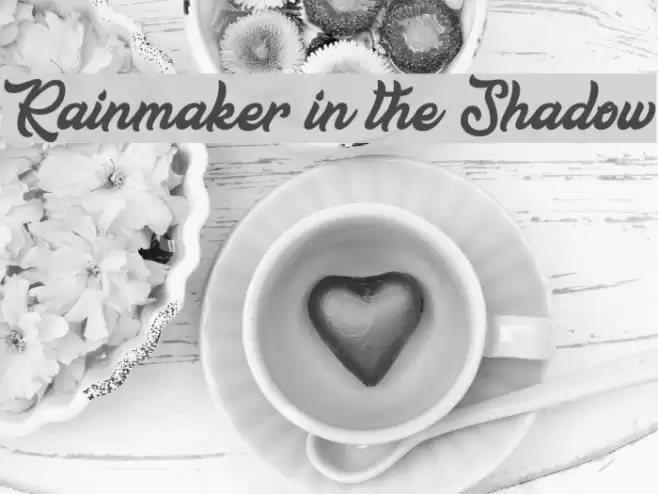 Rainmaker in the Shadow Шрифта examples