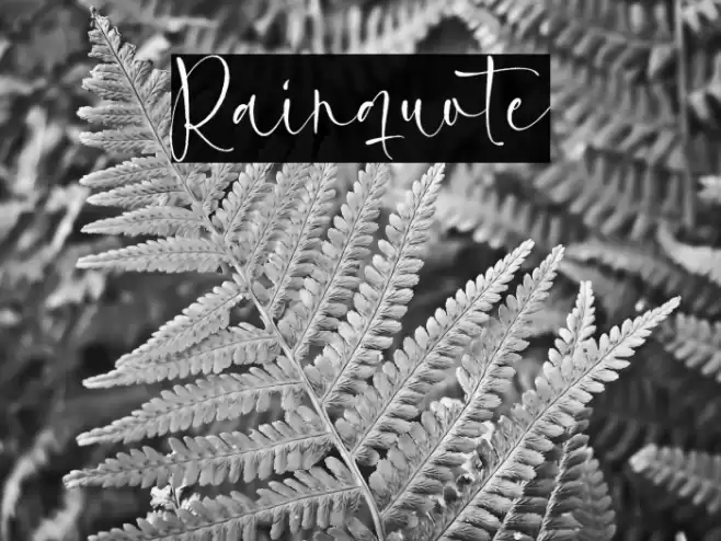 Rainquote Font examples