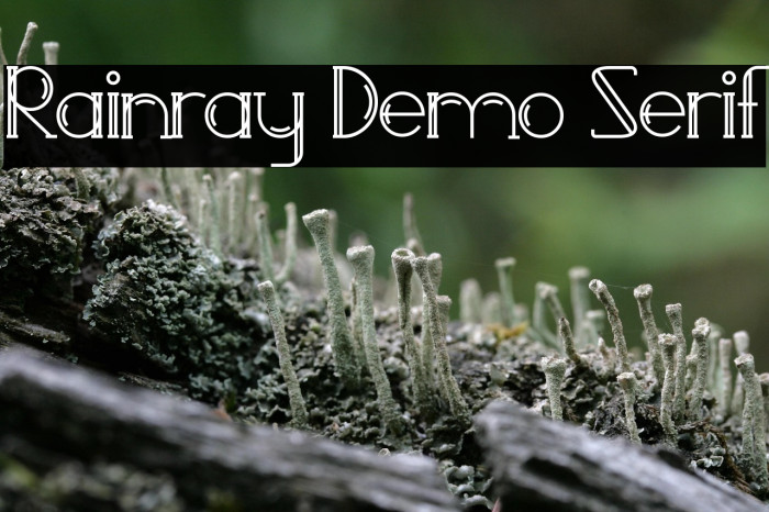 Rainray Demo Serif Example 1