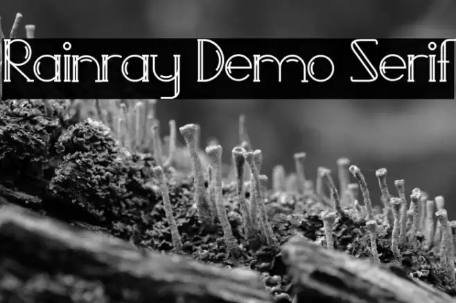 Rainray Demo Serif Font examples