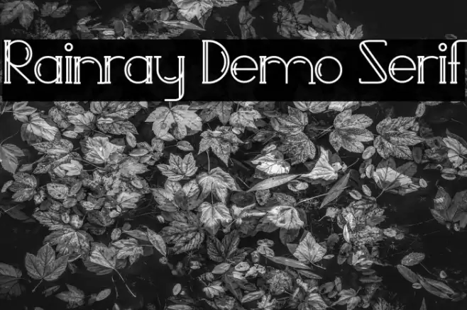 Rainray Demo Serif Font examples