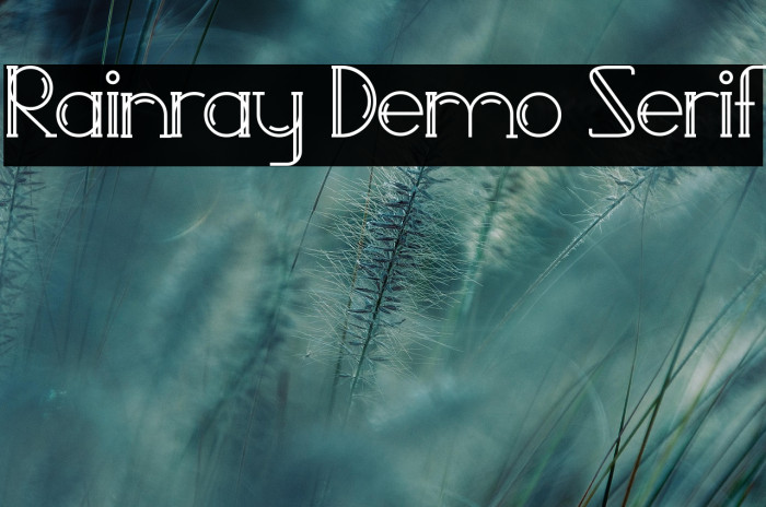 Rainray Demo Serif Example 3