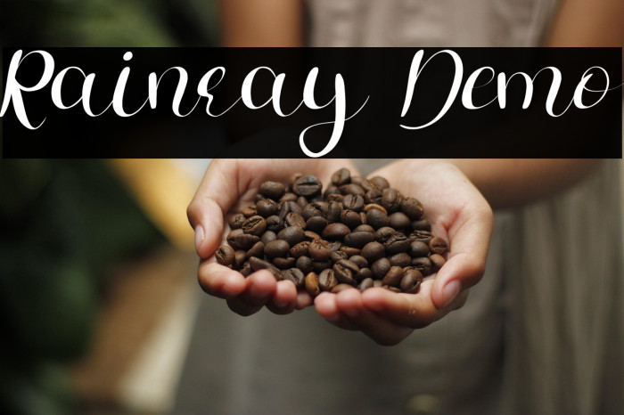 Rainray Demo Example 1