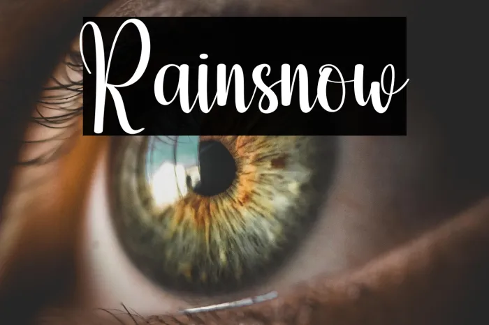Rainsnow Example 1