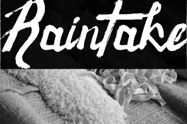 Raintake Font examples