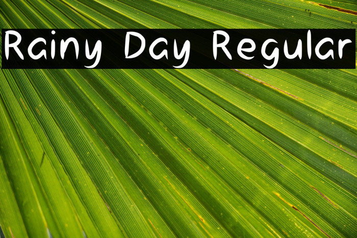 Rainy Day Regular Example 1