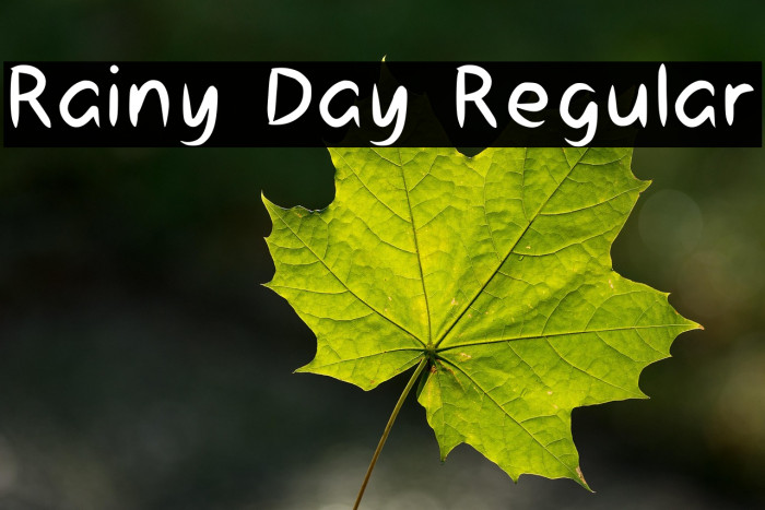 Rainy Day Regular Example 2