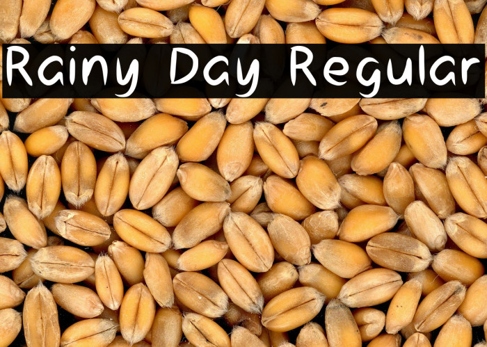 Rainy Day Regular Example 3
