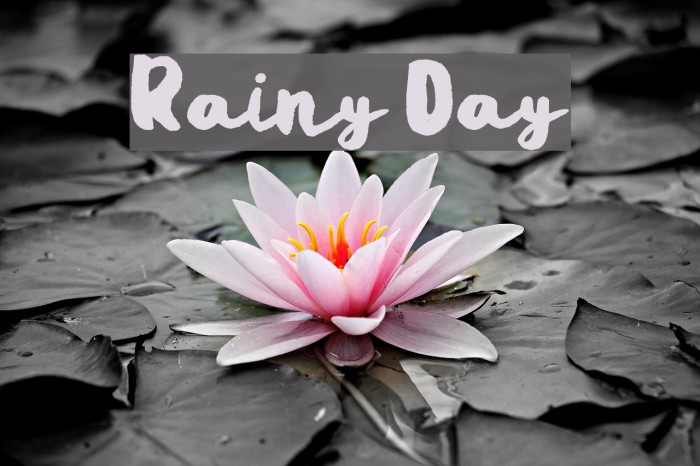 Rainy Day Font examples