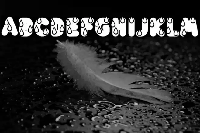 Rainy Font Bold Font examples