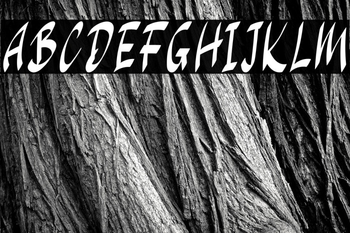 Rainy Season Example 2