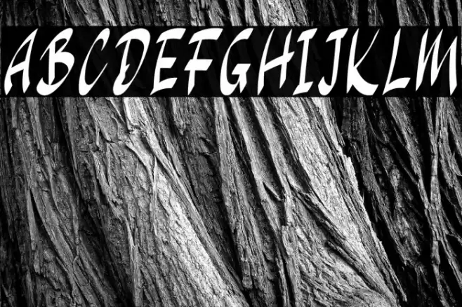 Rainy Season Font examples