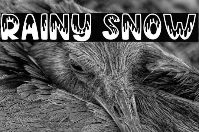 Rainy Snow Font examples