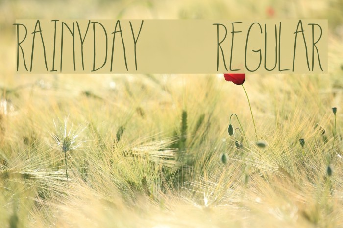 RainyDay-Regular Font examples
