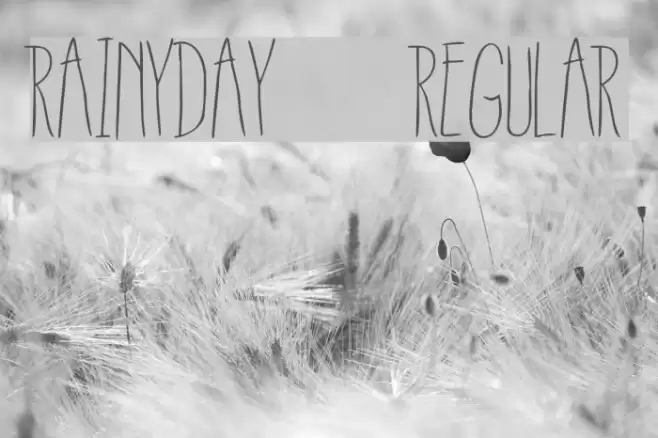RainyDay-Regular Font examples