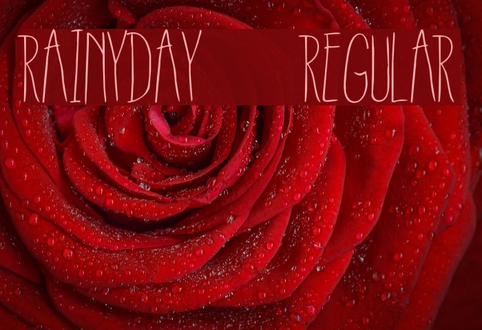 RainyDay-Regular Font examples