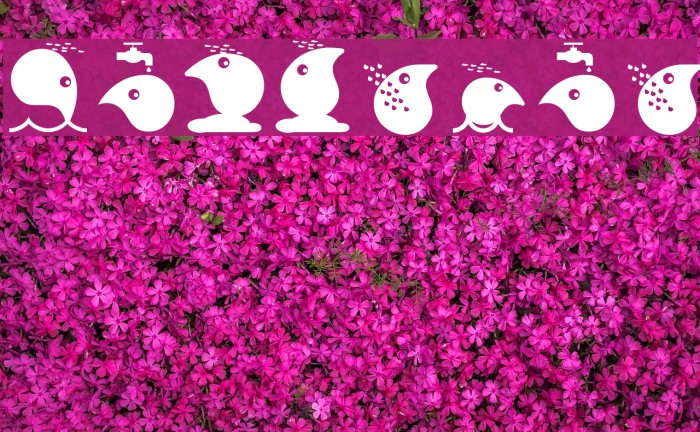 RainyDay Font examples