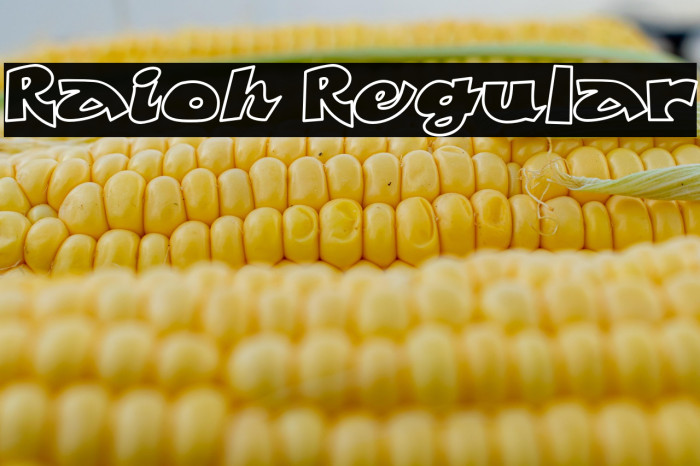 Raioh Regular Example 1