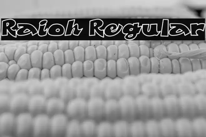 Raioh Regular Font examples