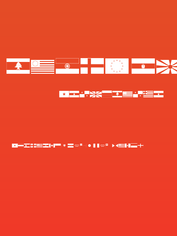 Raise Your Flag Poster